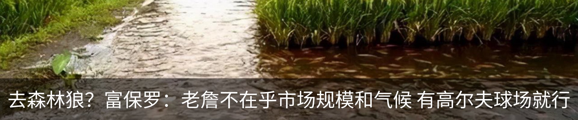 新闻动态