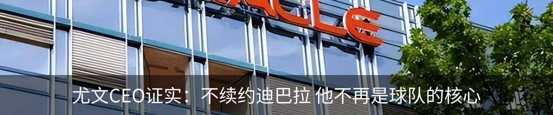 新闻动态