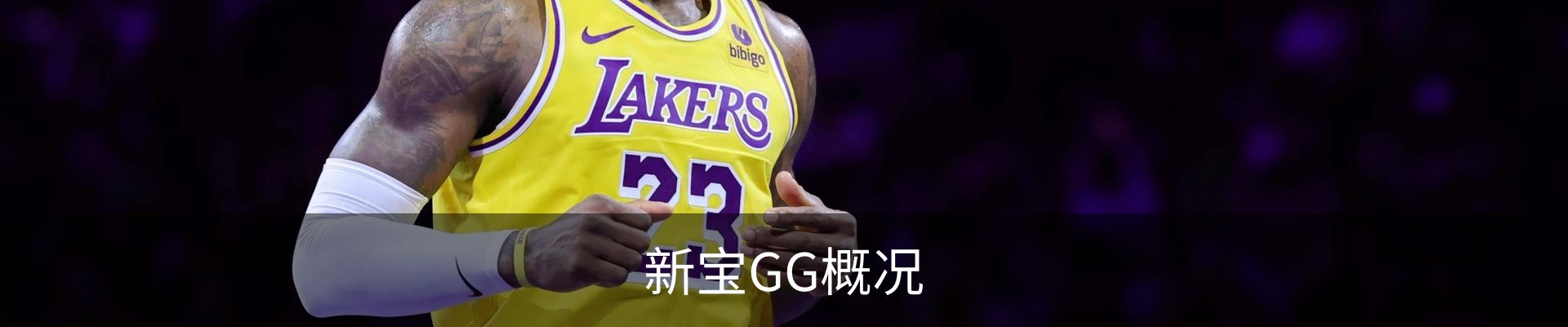 新宝GG概况