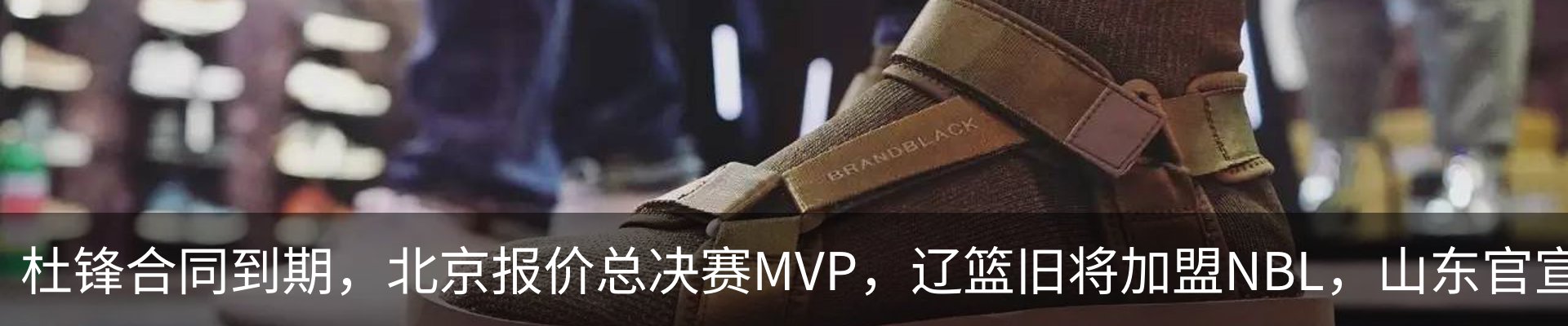 新闻动态