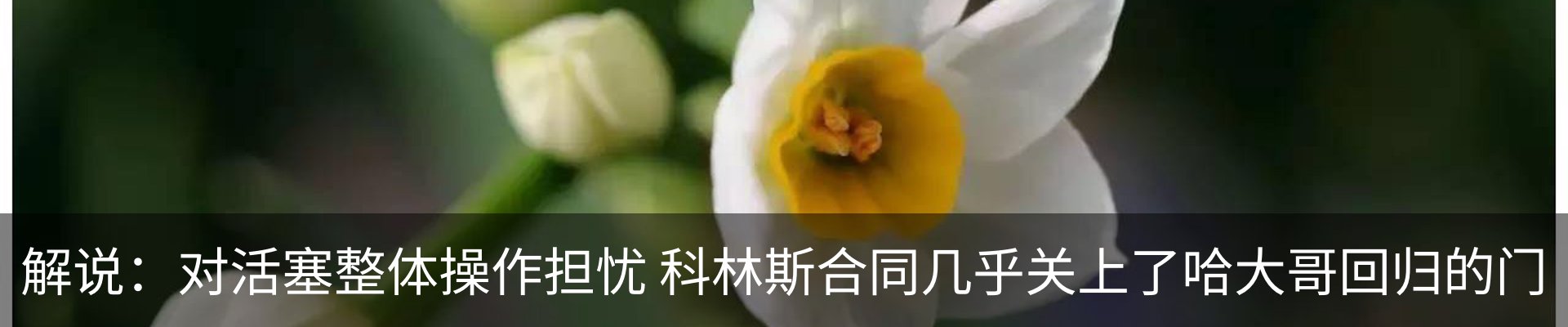 新闻动态