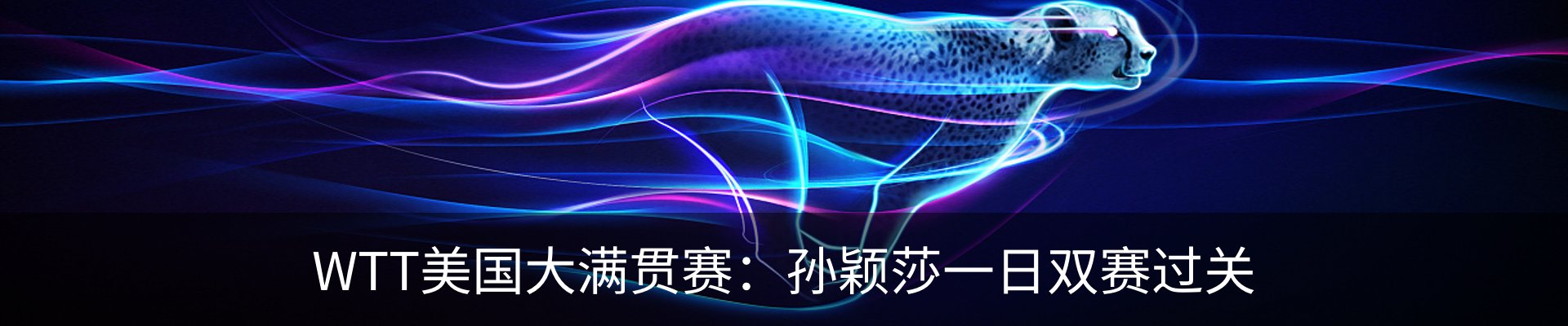 新闻动态